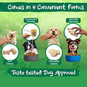 OEM Private Label Chicken & Turkey Flavored Probióticos Soft Chews Gut Saúde Pet Nutrição Suplemento Lanche para Cães - Product Image 4