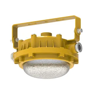 200W Yellow Led Explosion Proof Flood Light Industrial Explosion Proof Light