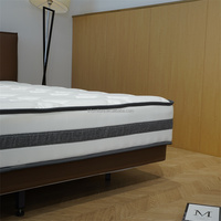 Intex Aufblasbare Schaumstoffmatratze mit Eingebauter Fußpumpe, Anpassbare Größen, Modern, Umweltfreundlich, Atmungsaktiv für Schlafzimmer und Innenbereich