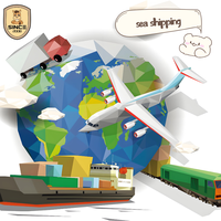 Agent transitaire de marchandises dangereuses DG Express DHL/FedEx/UPS pour le transport de produits chimiques liquides, en poudre et de batteries vers l'Argentine
