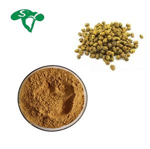 Sıcak satış fabrika kaynağı Shi Hu tozu Dendrobium özü 10:1 - Product Image 1