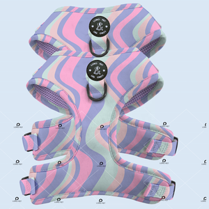 Desain Unik Kerah Anjing dan Kalung Anjing Yang Cocok Logo Karet Meliputi Tali Anjing Tali Pengikat Produsen - Product Image 4