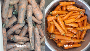 Gelgoog Machine à laver à l'ozone automatique Brosse à manioc Équipements de lavage de fruits et légumes - Product Image 2