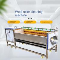 Industriële milieuvriendelijke 650W motor borstelrol wasmachine voor het reinigen van fruit en groenten in de voedingsmiddelen- en drankenindustrie