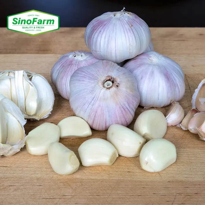 Garlic Cloves Peeled Fresh New 2024 Crop Made in China Price 100% Organic 1 kg Pack