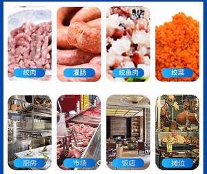 Toàn cầu bán buôn đa chức năng bán chạy nhất công suất cao thịt trộn/Máy xay thịt máy cắt - Product Image 6