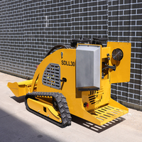Kleiner Benzinmotor 24PS Mini-Frontlader Kompaktlader mit Raupenantrieb