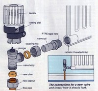 Robinet de radiateur droit en laiton, vanne thermostatique de contrôle de la température, robinet de radiateur en laiton Pn16
