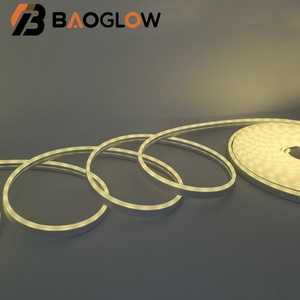 ไฟ LED RGB แบบสมาร์ท 5 ม. 10 ม. 20 ม. 24V 60 หลอด/เมตร พร้อมรีโมทคอนโทรล IP67 สำหรับตกแต่งบ้าน ห้องนั่งเล่น ไฟนีออน LED หลากสี - Product Image 6
