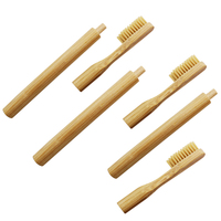 Brosse à dents jetable naturelle pliable en gros avec poils en charbon de bois, 4 têtes de brosse remplaçables, sans BPA, écologique, format voyage