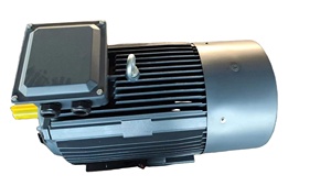Moteur à induction triphasé 75 CV - Product Image 3