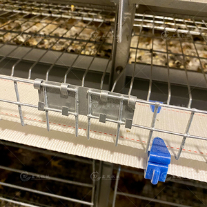 가금류 농업 장비 레이어 닭고기 계란 수집 시스템 10000 레이어 닭 자동 가금류 농장 새 케이지 판매 - Product Image 6