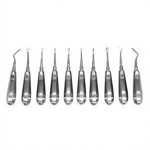 Extracteur de racines East-West Flag Luxating Tips, jeu de 10 embouts de différentes tailles, en acier inoxydable / blanc à rouge, emballage en boîte rigide - Product Image 4