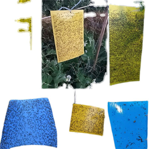 Trampa Adhesiva para Insectos Impermeable Más Vendida 20×25cm |   Altamente efectivo para invernaderos, macizos de flores y huertos - Product Image 4