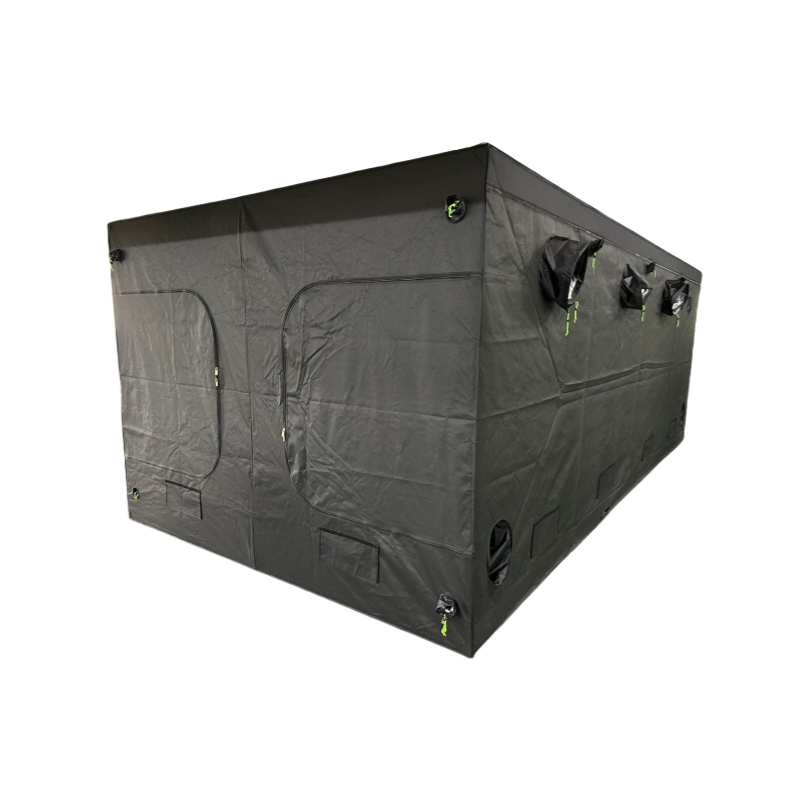 Большая комнатная коробка 600D/1680D/2000D 20 'x 10' для выращивания с железным каркасом для гидропонной теплицы для роста растений 600x300