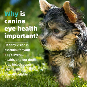 Golosinas para Perros Mayores, Apoyo para la Visión, Recomendadas por Veterinarios, Sin Granos, Mordidas Suaves - Product Image 4