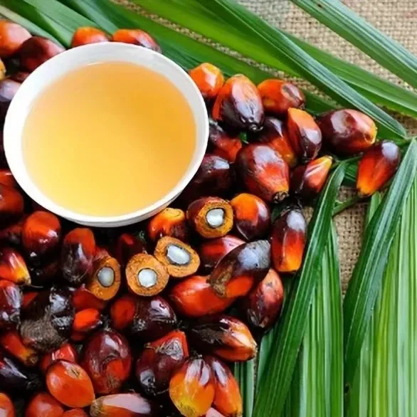 Palmöl verarbeitung geräte mit geringer Kapazität für den afrikanischen Markt
