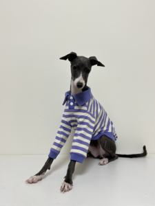 Camiseta Polo a Rayas <span class=keywords><strong>de</strong></span> Algodón Puro para Primavera, Otoño e Invierno, Ropa para Perros <span class=keywords><strong>de</strong></span> Alta Elasticidad, para Galgos Pequeños, Whippets y Bedlington Terrier - Product Image 2