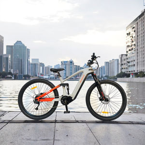 Vente ODM personnalisée en usine en vrac vélo de montagne électrique d'exercice en plein air 29 pouces 9 vitesses 500W e-bike vtt - Product Image 1