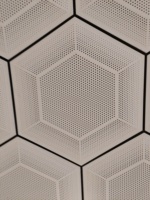 Panneau de plafond en aluminium noir perforé à cadre foncé hexagonal convexe pour bureau