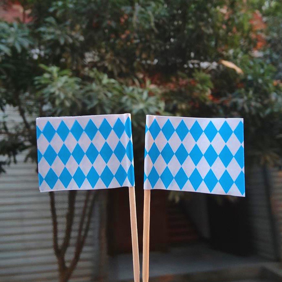 Blue and white plaid 100