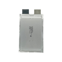 Daya Tinggi Dischargeg Rate LTO Pouch Cell 10C Pouch Baterai Lithium Titanate 2.3V 30Ah untuk UPS Surya