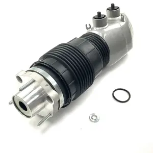 Factory Direct Air Suspension Spring For Porsche Panamera 971 Front Right 971616038d 971616038g 971616038f