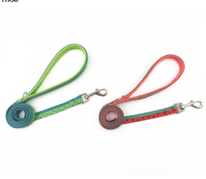 Juego de correa de accesorios de lujo para perros Correa de perro de plomo para exteriores con logotipo personalizado con impresión de sandía - Product Image 6