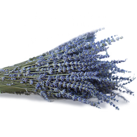 Tanaman Alami Kering Asli Reed Bunga Kering Provence Lavender Tandan untuk Pengaturan