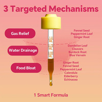 Complément alimentaire liquide liposomal en gouttes à marque privée OEM pour drainage lymphatique, soulagement des ballonnements et confort digestif