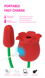 사용자 정의 로고 2-in-1 전기 미니 진동기 로즈 사프란 USB 마그네틱 충전기 AV 지팡이 기능이있는 더블 로즈 섹스 토이 - Product Image 4