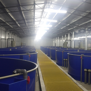 ฟาร์มกุ้ง โรงเพาะฟักปลานิล ระบบ RAS อุปกรณ์เลี้ยงปลา ตู้ฟักไข่ปลา ฟาร์มเพาะเลี้ยงสัตว์น้ำ ระบบเพาะเลี้ยงสัตว์น้ำแบบ RAS - Product Image 4