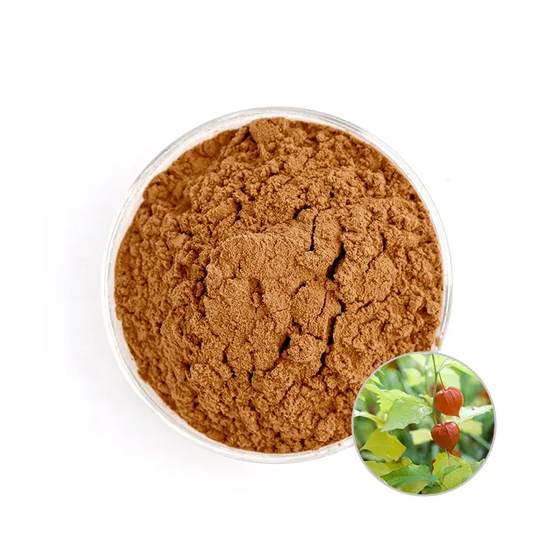 Prezzo all'ingrosso polvere di estratto di radice di ashwagandha vegetale naturale al 100%