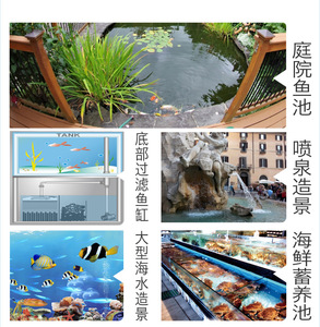 Acuario de Lujo para Barra - Pecera de Vidrio Personalizada para Uso Comercial/Doméstico, Moderna Vitrina de Agua - Product Image 5