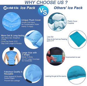 World-Bio Gel de physiothérapie non toxique confortable Packs chauds et froids Soulagement de la douleur au dos et à la taille Fournitures de thérapie de rééducation - Product Image 5