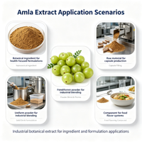 Poudre d'extrait de Phyllanthus Emblica, extrait naturel de baies d'Amla en vrac, matière première polyphénolique pour l'alimentation et les produits chimiques quotidiens