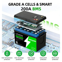 Pack de batteries au lithium personnalisé 12V 24V 36V 48V 60V 72V 60Ah 100Ah 200ah 300Ah 400Ah Lifepo4 Pack de batteries au lithium-ion solaire avec BMS