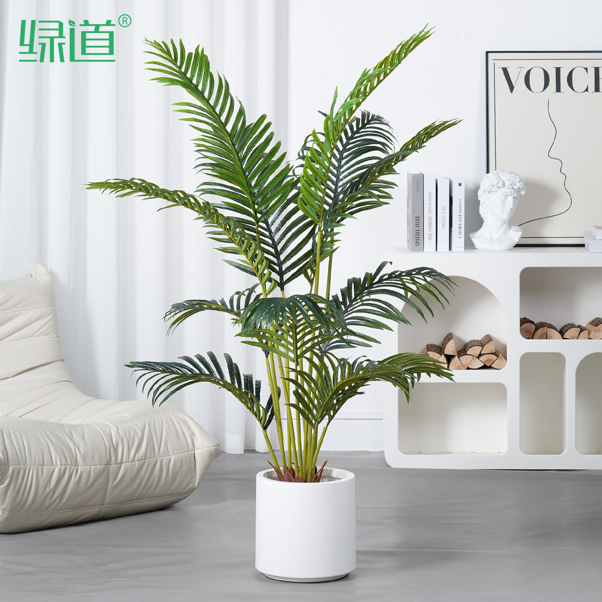 Palmier Areca de 1,2 mètre [comprend un pot blanc, une étiquette et des flocons de noix de coco]