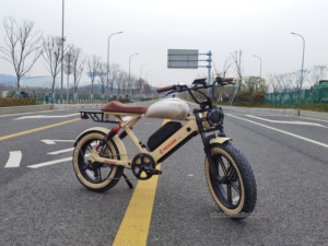 Vélo électrique à pneus larges à suspension intégrale 20 pouces, 48V 15Ah, double batterie, vélo électrique rapide <span class=keywords><strong>73</strong></span> - Product Image 3