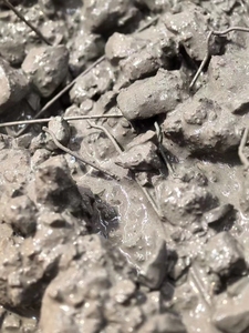 2025 bê tông phụ gia End Hook sợi thép cho sàn công nghiệp Hot Bán - Product Image 6