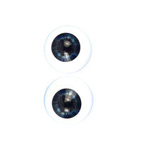 Yeux humains réalistes en résine acrylique de 8 mm à 14 mm pour poupée, modèle éducatif, jouet DIY, fait main