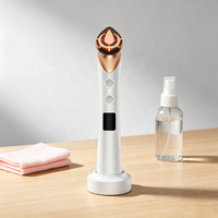 Masseur facial multifonctionnel pour le lifting et le raffermissement, équipement de beauté facial portable pour la maison, appareil de beauté faciale