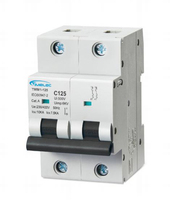 Disjoncteur miniature 2P 80~100A TMM1-125
