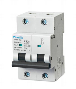 เบรกเกอร์ขนาดเล็ก 2P 80~100A รุ่น TMM1-125 - Product Image 3