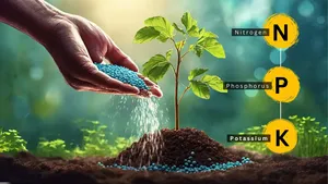 <span class=keywords><strong>Engrais</strong></span> composé équilibré NPK 17-20-20 : Nutrition équilibrée, promoteur de croissance polyvalent - Product Image 6