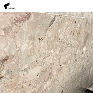 Tostone Ceppo Breccia Rosa marmo una superficie audace e levigata che solleva bagni e pareti interne con bellezza naturale - Product Image 3