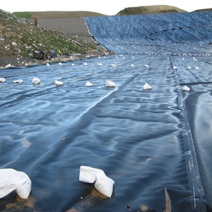 Venta caliente Certificados CE Geomembrana impermeable de HDPE Ldpe para lagunas de lodo y estanques de algas - Product Image 6