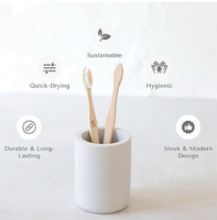 Porte-brosse à dents en diatomite, absorption d'eau, séchage rapide, organisateur de comptoir de salle de bain, support pour dentifrice, pinceaux de maquillage