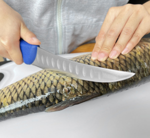 6 بوصة جديد وصول مقاومة طلاء الفولاذ المقاوم للصدأ فيليه سكين سكين صيد - Product Image 5