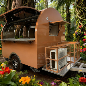 Camion de restauration professionnel pour bubble tea, sandwichs et autres plats, avec trois éviers, remorque de traiteur - Product Image 6